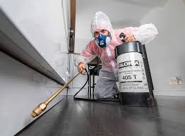 Best Fumigation Services  in Franklin Square, NY